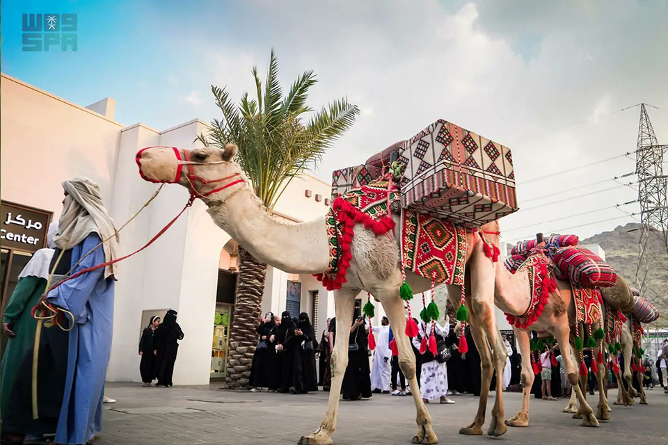 Camel Caravan: Going back in time at Summer in Hira